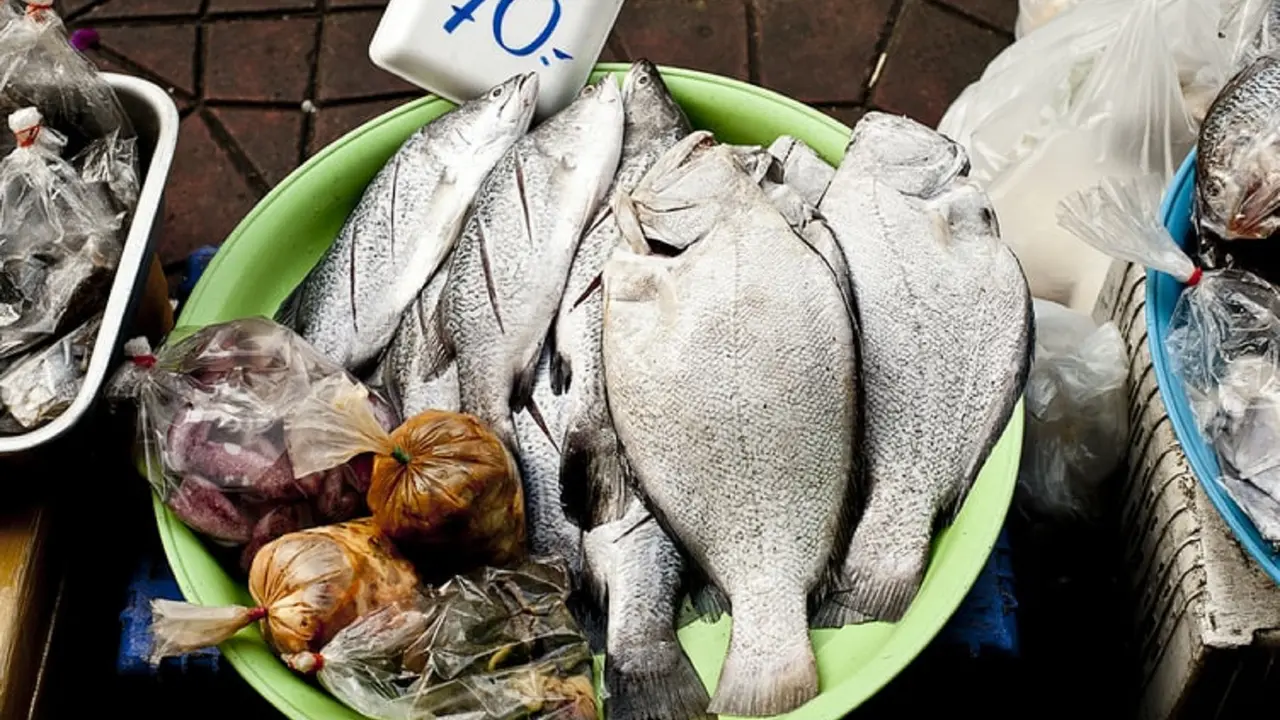 Ilustrasi makanan laut