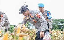 Kapolres Karawang Pimpin Panen Raya Jagung 28 Ton, Perkuat Ketahanan Pangan Daerah