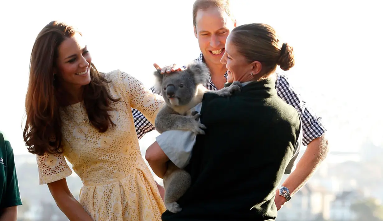 Bersama Pangeran William, Kate Middleton juga menyempatkan bertemu dengan binatang khas Australia, Koala, (20/4/2014) (REUTERS/Phil Noble)