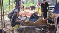 Salurkan 17.520 Paket Kurban, Perusahaan Ini Gunakan Wadah Ramah Lingkungan