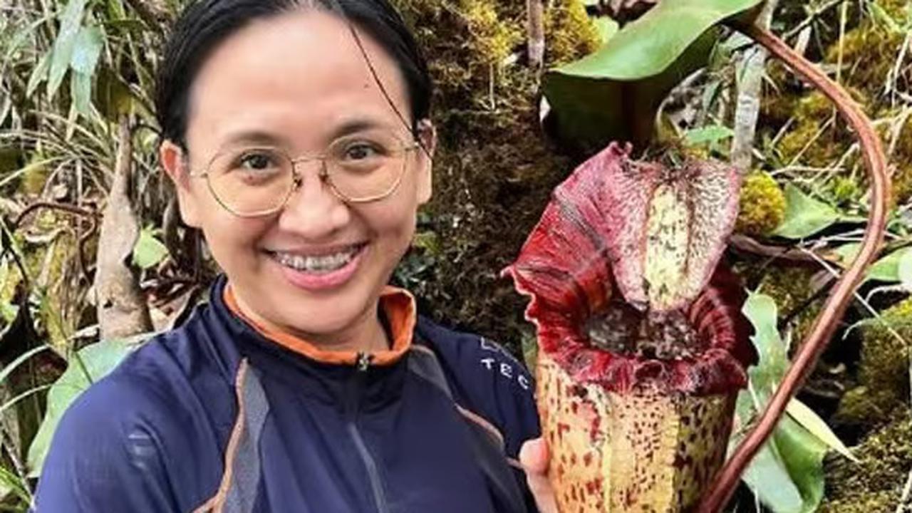 Ilmuwan Ungkap Tanaman-Tanaman Karnivora Pemakan Daging, Sudah Bervolusi Selama 70 Juta Tahun