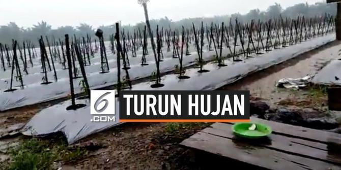 VIDEO: Hujan Guyur Kalimantan dan Riau