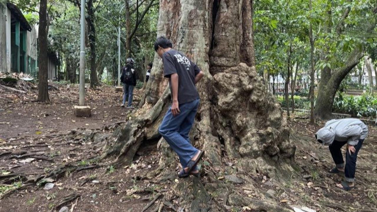 Viral Berburu Koin Jagat, Menteri PPPA Ingatkan Masyarakat Tak Gampang Percaya