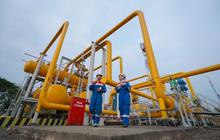 Tahukah Anda? Pertagas Perkuat Sinergi dan Layanan dengan Infrastruktur Handal, Jangkau Ribuan UMKM