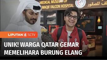 VIDEO: Memelihara Elang Jadi Kebanggaan Warga Qatar, Apa Keistimewaannya?