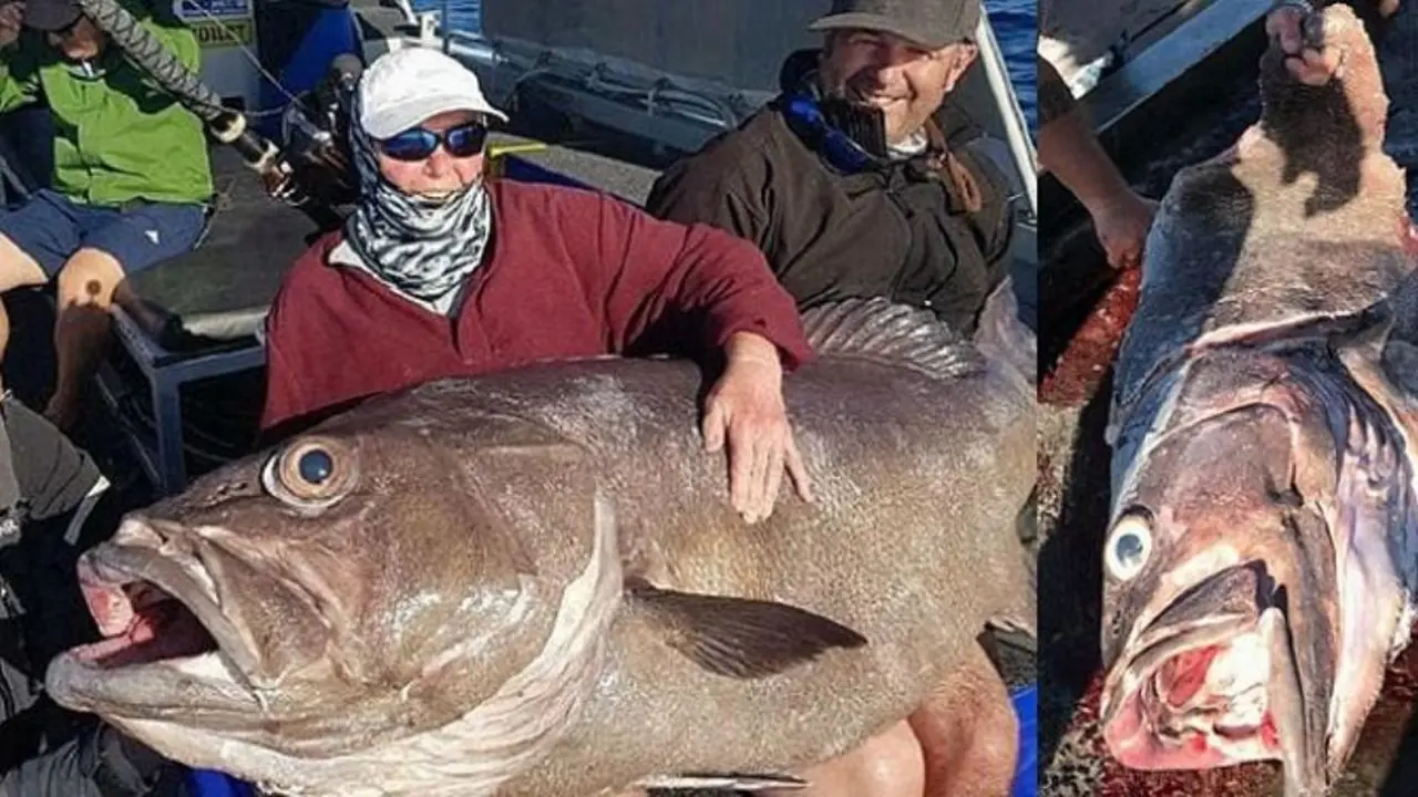 [Bintang] Keren! Seorang Ibu Berusia 68 Tahun Berhasil Tangkap Ikan Raksasa