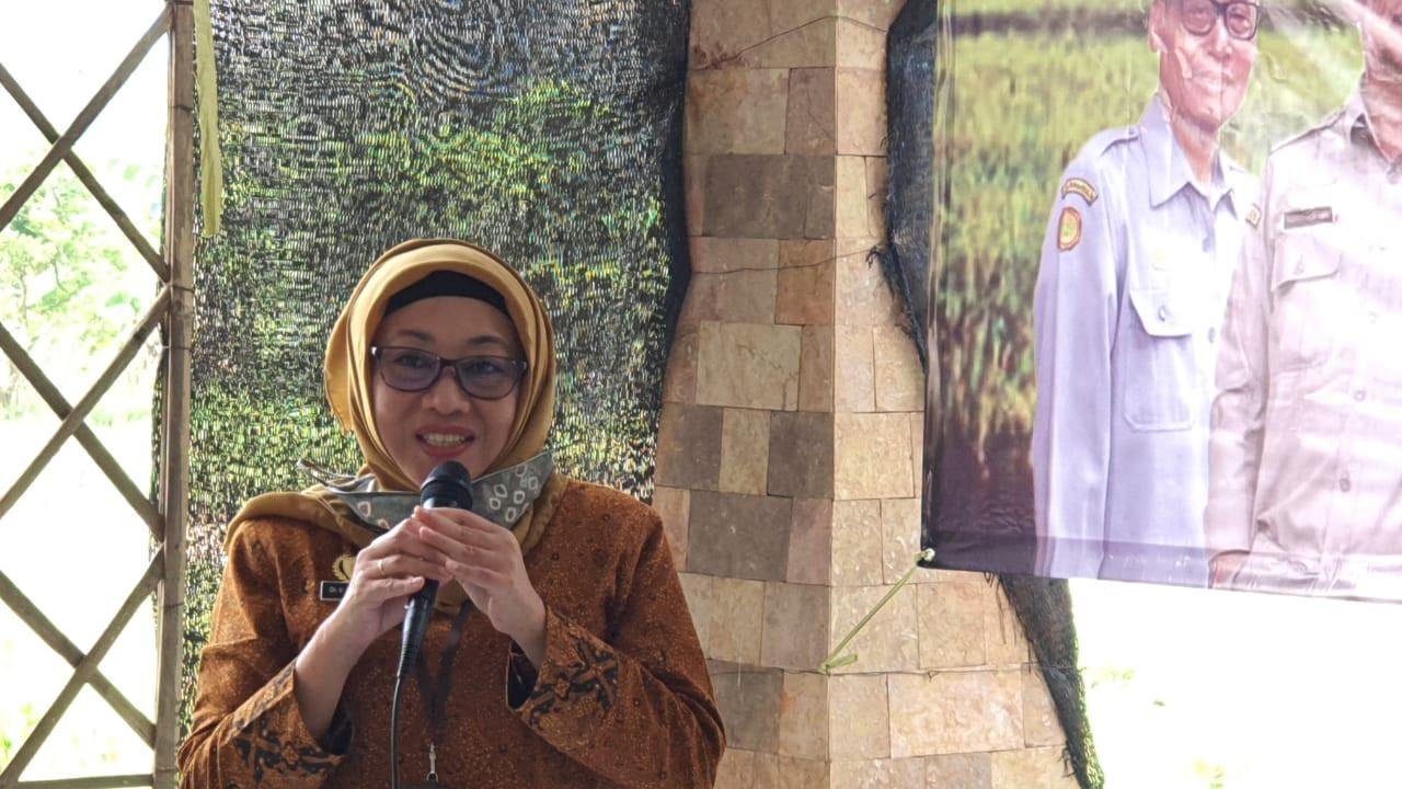 siti munifah
