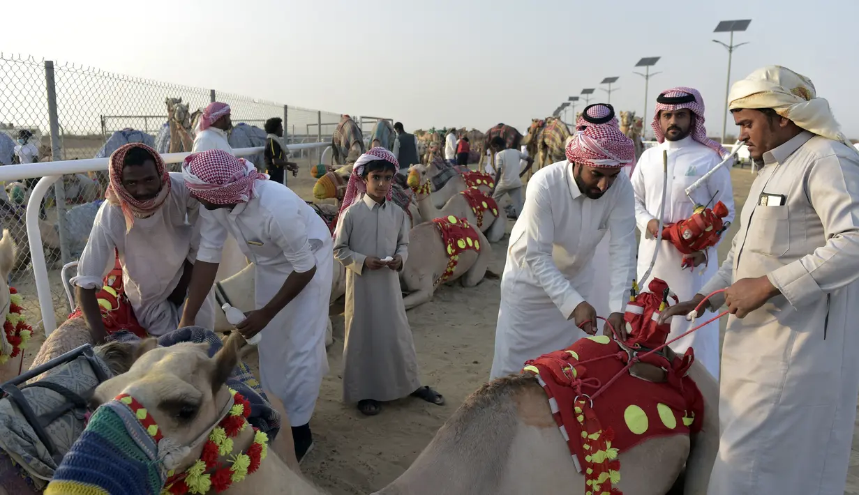 Para pawang mempersiapkan unta untuk balapan pada Festival Unta Putra Mahkota di Kota Taif, Arab Saudi, Rabu (11/8/2021). Selain mempromosikan warisan balap unta Arab Saudi, festival ini juga berupaya untuk mendukung pariwisata dan pembangunan ekonomi. (Amer HILABI/AFP)