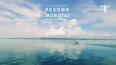 Morotai tak hanya memiliki pantai dan pasir yang lembut, tapi juga punya pemandangan bawah laut yang unik.