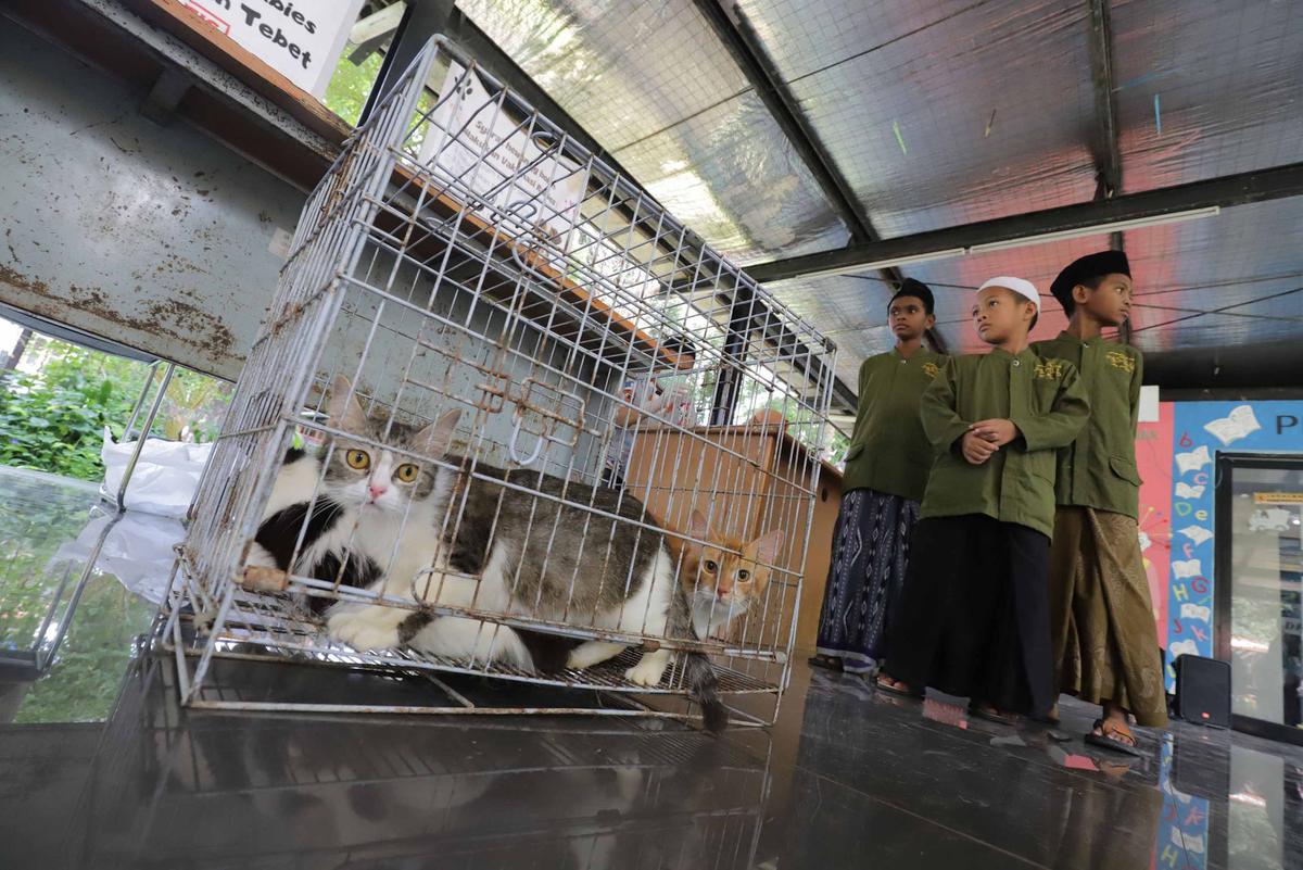 FOTO: Cegah Rabies, Pemkot Jaksel Gelar Vaksinasi Gratis untuk Hewan Peliharaan