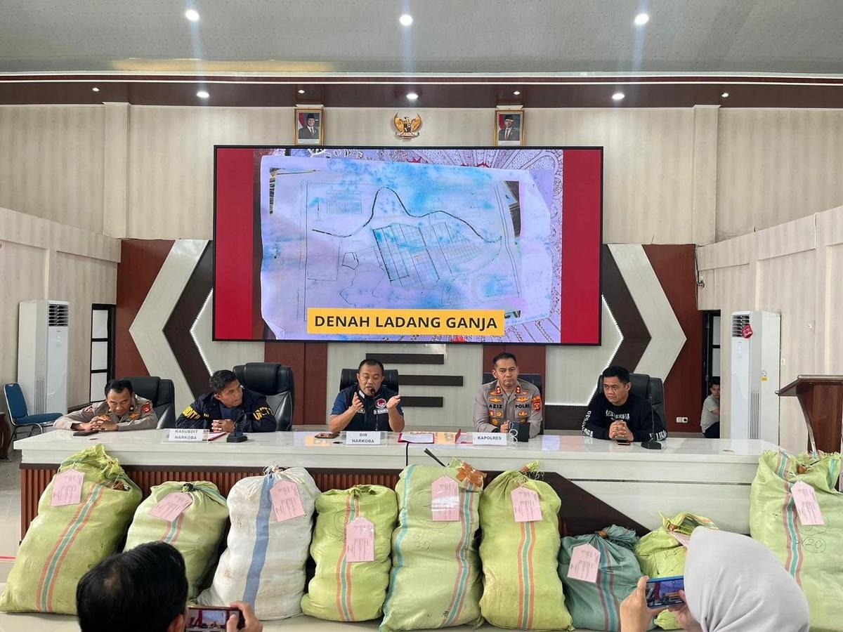 FOTO: Polda Sumsel Bongkar Ladang Ganja 20 Hektar di Empat Lawang