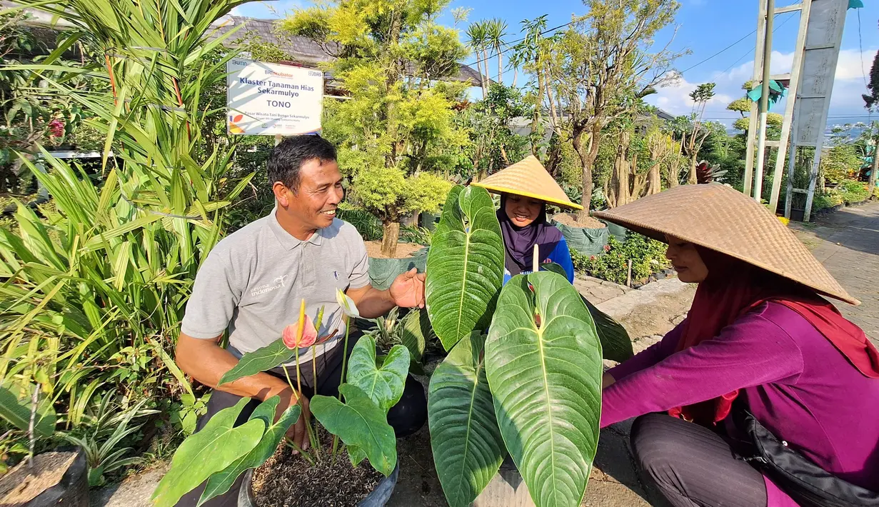 Anggota klaster usaha Sekar Mulyo menggelar pertemuan kelompok sebulan sekali. Biasanya pertemuan dimanfaatkan untuk diskusi aneka tema, baik dengan Mantri BRI atau yang lain, termasuk diisi kerja bakti dan pembenahan lingkungan. (Dok. BRI)
