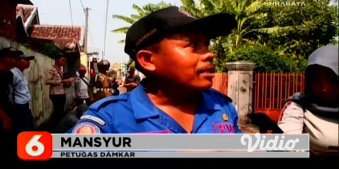 VIDEO: Petugas Damkar dan Satpol PP Amankan Sarang Tawon Vespa