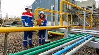 PGN Tambah 230 Km Pipa Gas, Salurkan 836 BBTUD Gas Bumi