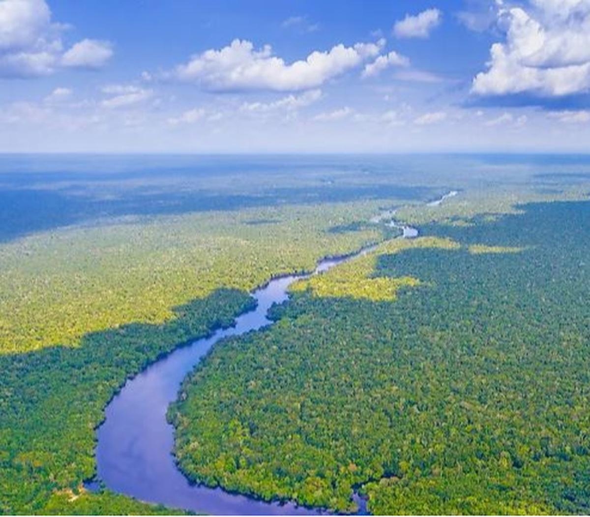Fenomena Aneh, Mahasiswa Temukan Sungai Amazon Mengalir Mundur Saat Teliti Sedimen Sungai