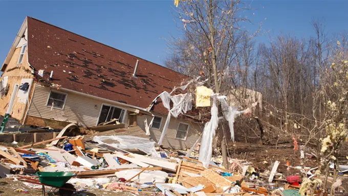 courtesy shutterstock