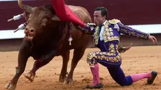 Matador Spanyol Rafaelillo berusaha menaklukan banteng Pedraza de Yeltes selama Festival Dax di Dax Arena, barat daya Prancis (14/8). (AFP Photo/Iroz Gaizka)