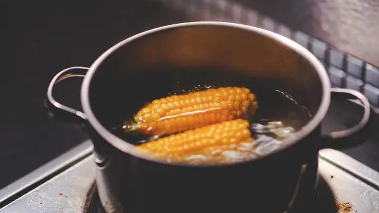 Tips Merebus Jagung 10 Menit Saja Hasilnya Empuk dan Cantik
