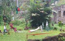 Gorila Kumbo Jadi Daya Tarik, Hibur Pengunjung Ragunan