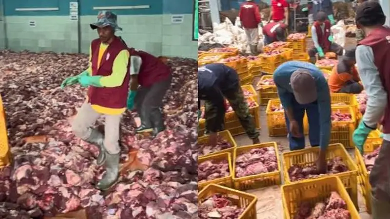 Satu Dusun Kurban 73 Sapi dan 254 Kambing, Daging yang Tekumpul Capai 25 Ton Ini Viral