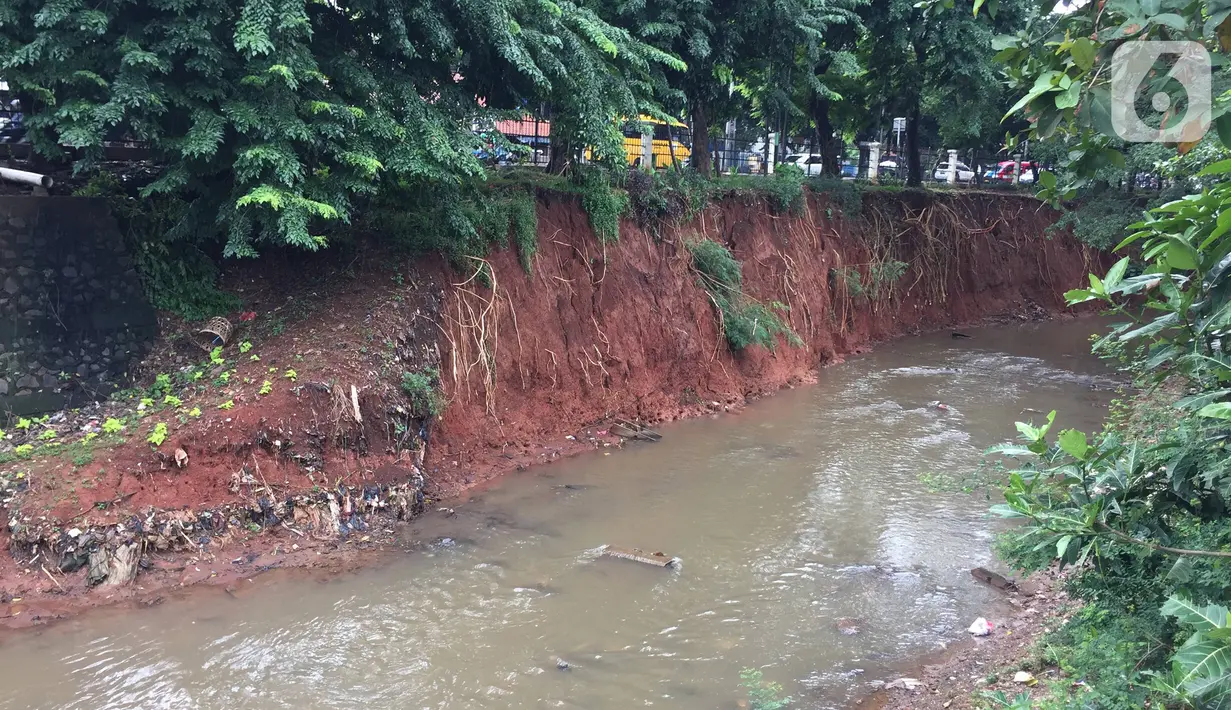 Kondisi dinding Kali Baru yang longsor di Jalan Raya Bogor, Kramat Jati, Jakarta Timur, Jumat (10/1/2020). Longsor yang terjadi akibat banjir beberapa waktu lalu tersebut berpotensi menyebabkan longsor susulan akibat tidak adanya turap yang menahan dinding kali. (Liputan6.com/Immanuel Antonius)