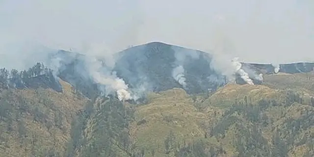 Kebakaran Tak Surutkan Minat Wisatawan ke Bromo