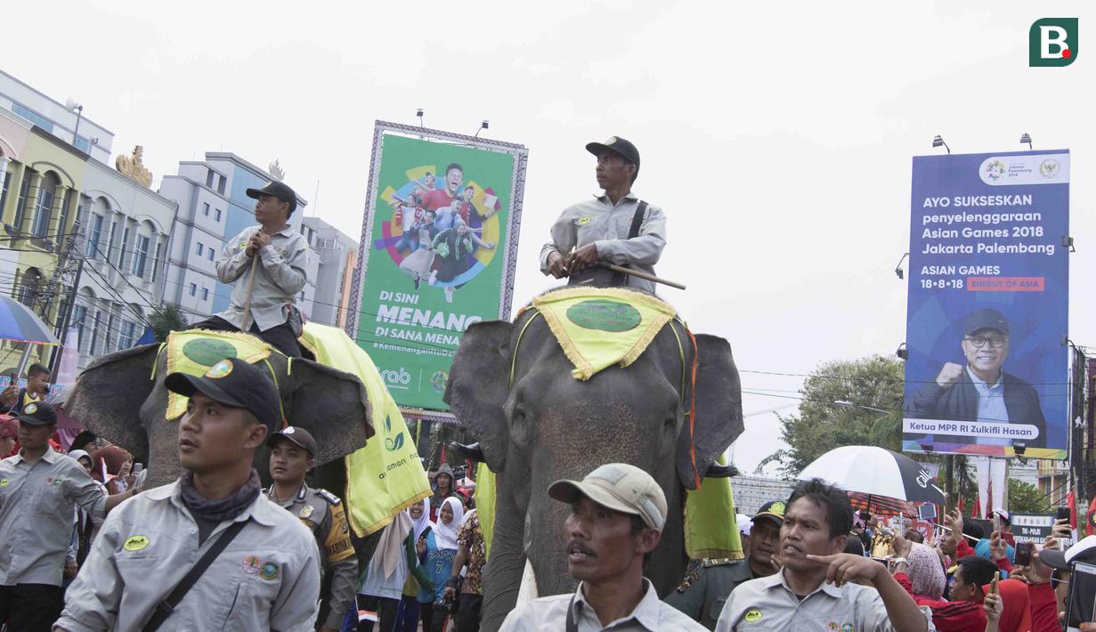 Gajah-gajah turut meramaikan rangkaian acara pawai obor Asian Games XVIII di Lampung, Rabu (8/8/2018). Sebanyak 53 kota di Indonesia akan dilalui oleh obor Asian Games. (Bola.com/Reza Bachtiar)