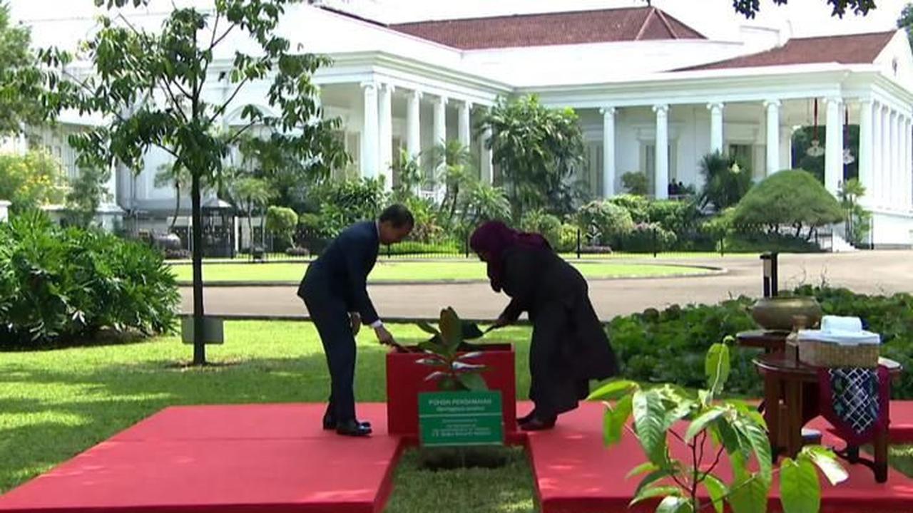 Rangkaian selanjutnya, mereka melakukan penanaman pohon Barringtania Asiatica (pohon perdamaian) di halaman belakang Istana Bogor.&nbsp;