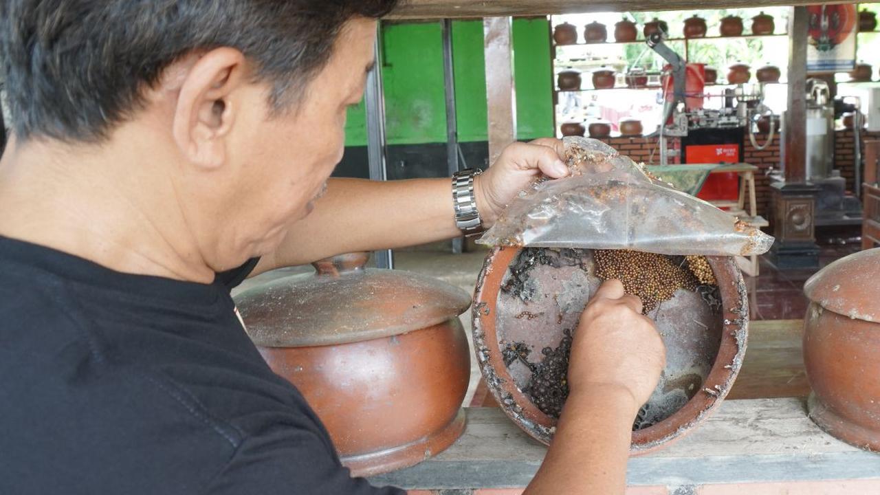 “Cairan ini awalnya sering tak unduh-unduh, terus tak minum, tak konsumsi sendiri. Nah tak pikir-pikir ini kok sepertinya bisa kalau dikembangkan,” katanya