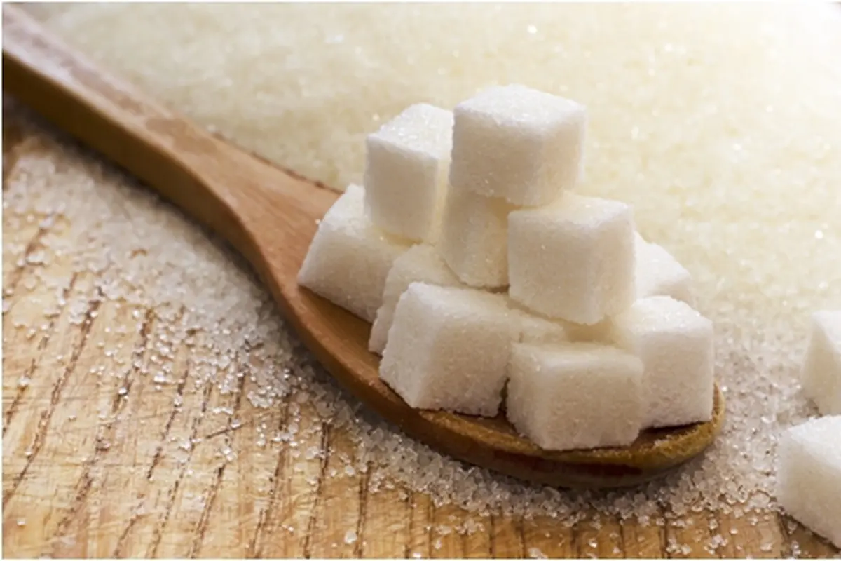 Foto: copyright by shutterstock.com