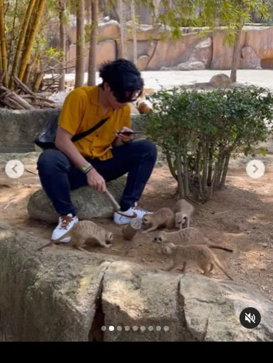Ajil Ditto memberikan makanan salah satu miershet yang ada di kebun binatang Bali. Alat yang dipegangnya merupakan tempat makan mereka (Foto: Instagram/@ajil_ditto08)