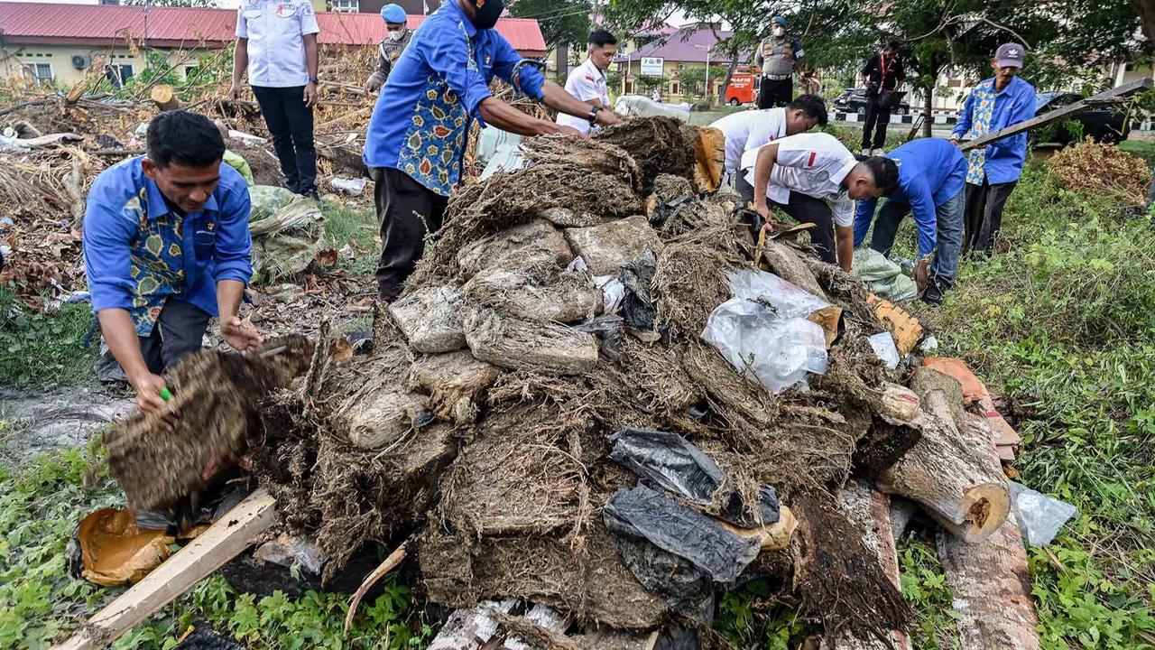 FOTO: Polda Aceh Musnahkan 1,3 Ton Ganja, Hasil Operasi Tiga Bulan terakhir