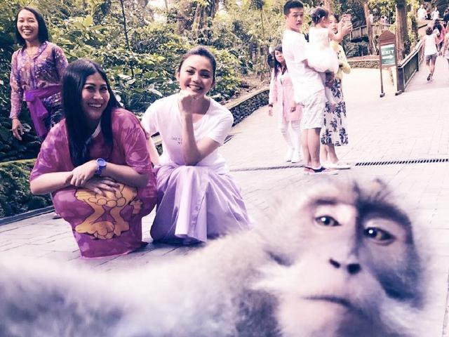Tak Biasa Monyet Wefie Bareng Rina Nose Di Ubud Lifestyle Liputan6 Com Nggak sulit dipasangkan dengan fashion item lainnya, coba tiru beberapa trik di bawah ini. biasa monyet wefie bareng rina nose