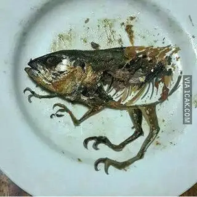 6 Makanan Olahan Ikan Ini Nyeleneh, Bikin Hilang Nafsu Makan