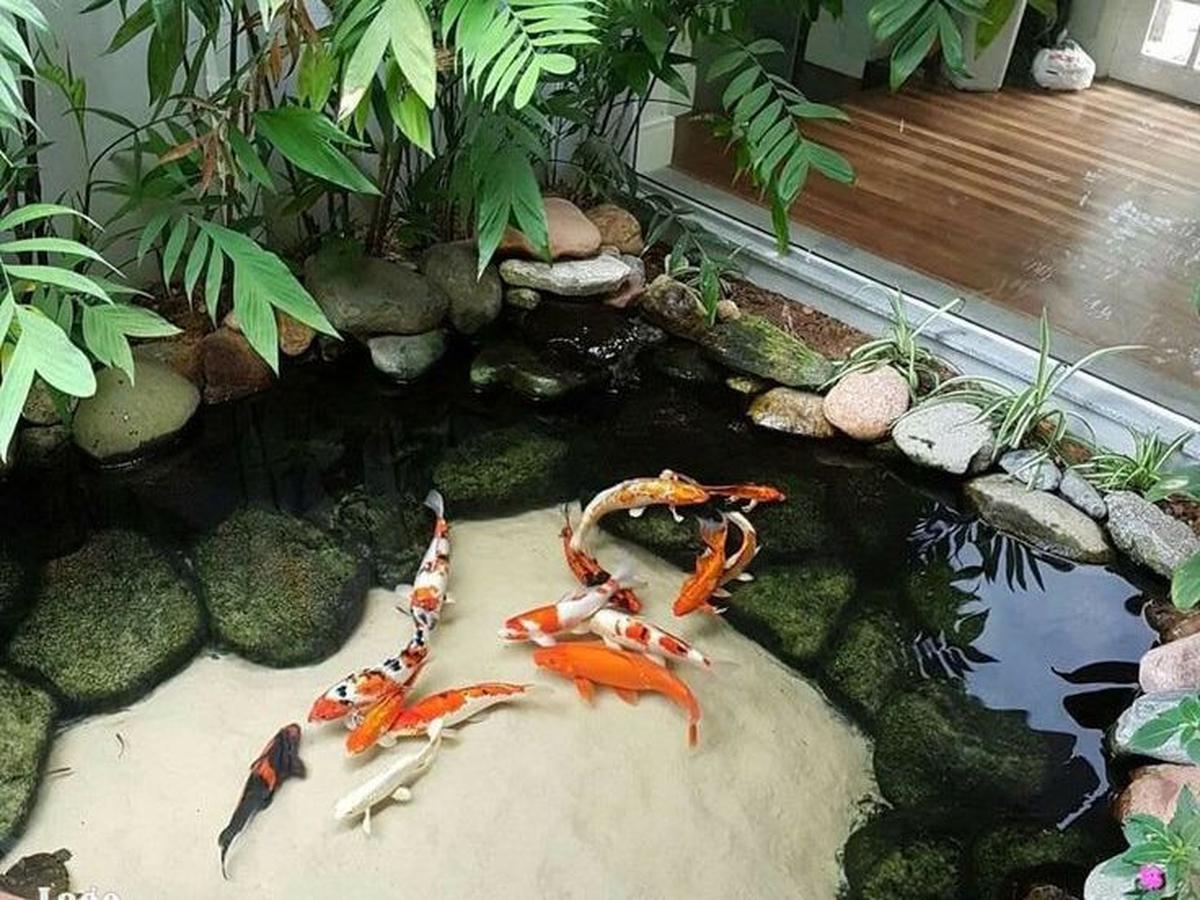 7 Desain Kolam Ikan Koi di Rumah yang Bikin Hunian Makin Adem