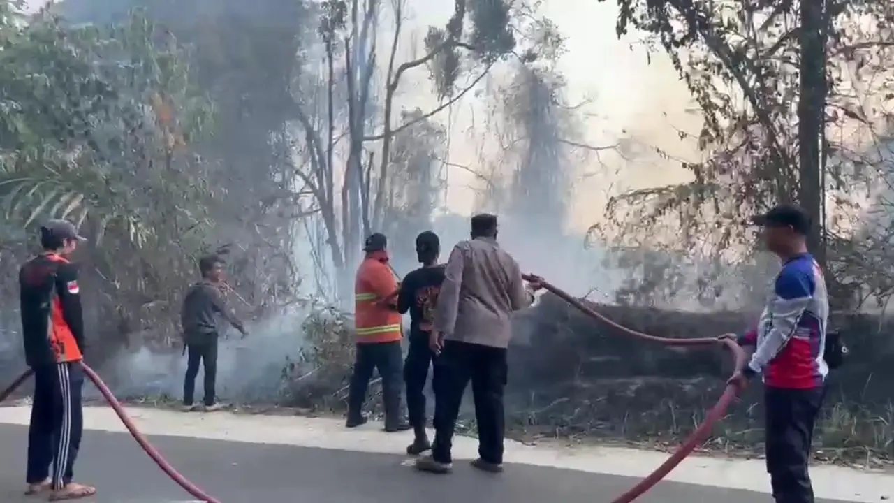 Kebakaran melanda kawasan hutan Taman Nasional Bukit Barisan Selatan (TNBBS).