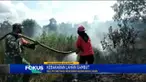 Simak berita terkini dalam Fokus Pagi dengan pilihan topik utama sebagai berikut, Azis Syamsuddin Ditahan KPK, Ricuh Demonstrasi Petani dan Mahasiswa, Produsen Tembakau Sintesis Digerebek, Pendaki Hilang Ditemukan.