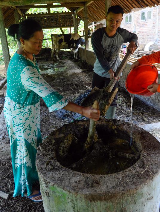 <p>Sekitar 70 kepala keluarga di desa ini memanfaatkan kotoran sapi perah yang dimasukkan ke dalam reaktor sehingga menghasilkan biogas sebagai pengganti liquefied petroleum gas (LPG) untuk kebutuhan rumah tangga. (merdeka.com/Arie Basuki)</p>