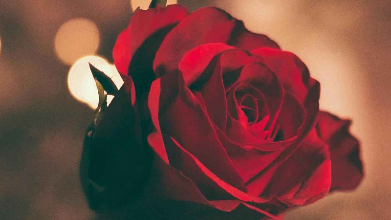 10 Rekomendasi Hadiah Valentine yang Romantis, Momen Indah di Hari Kasih Sayang