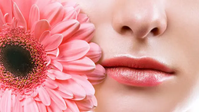 Copyright by Shutterstock.com