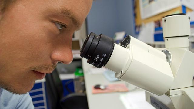 Ilustrasi Ilmuwan. (PublicDomainPictures/Pixabay)