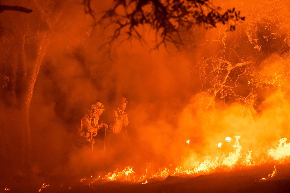 FOTO: Ngerinya Kebakaran Hutan di Napa County, Ribuan Warga California Dievakuasi