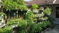 10 Sayuran yang Tidak Perlu Sering Membeli Bibit, Bisa Ditanam Berulang Kali dan Hemat Biaya
