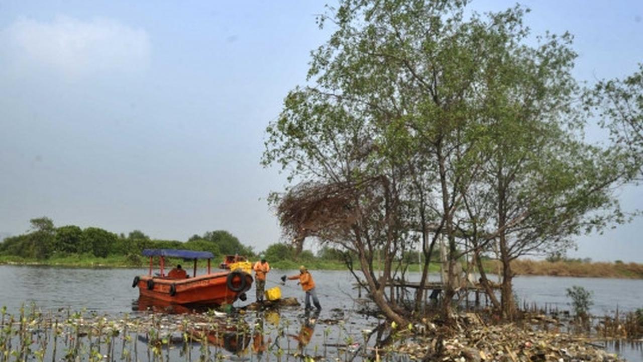 Melihat aksi para penjaga kebersihan pantai
