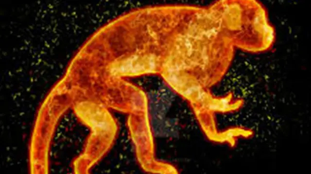 The Five Elements and the Monkey