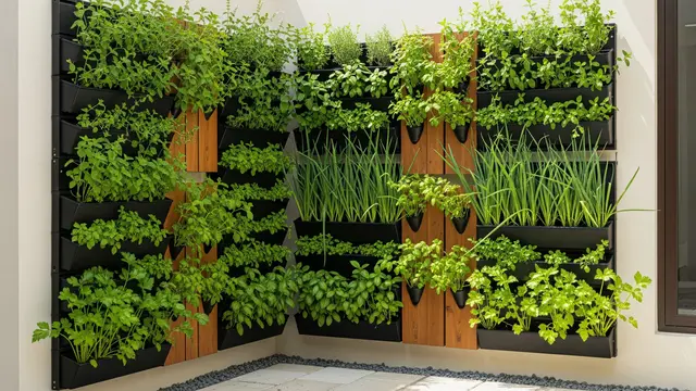 Kebun Vertikal di Dinding Halaman