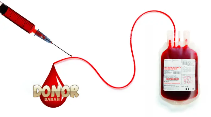 Ilustrasi Donor Darah (Liputan6.com/Andri Wiranuari)