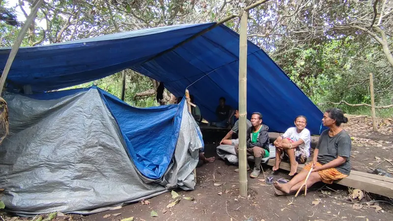 Warga desa Dulipali, Kecamatan Ile Bura, Kabupaten Flores Timur, NTT mengungsi di kebun pasca erupsi gunung Lewotobi Laki-laki (Liputan6.com/Ola Keda)