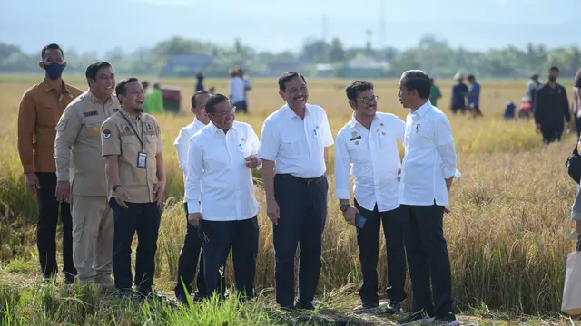 Panen Padi Sulsel di Bulan Maret