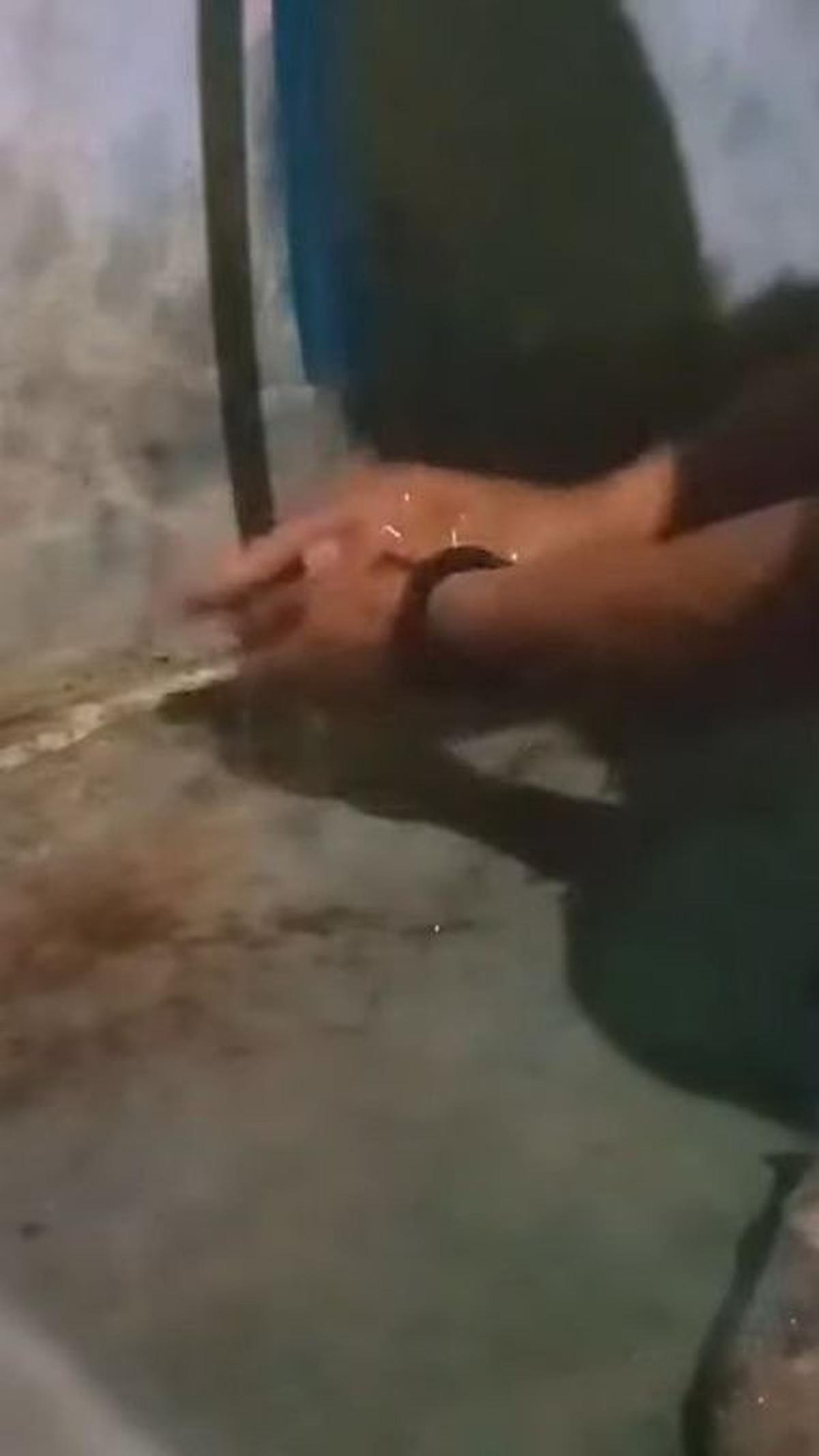 Cuci Kentang dengan Kawat Pencuci